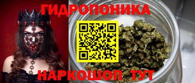 наркотики Будённовск