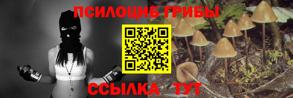 Галлюциногенные грибы Psilocybe Нижний Тагил